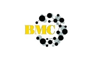 Basic Materials Company for Industry